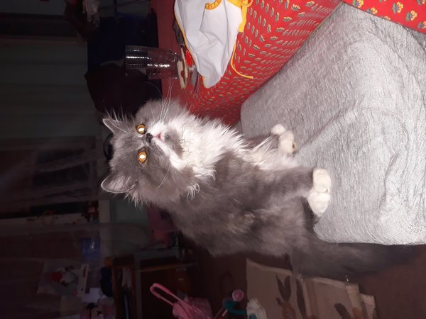 20171217_220443.jpg