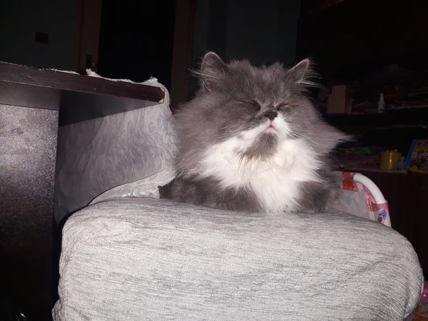 20180101_212549.jpg