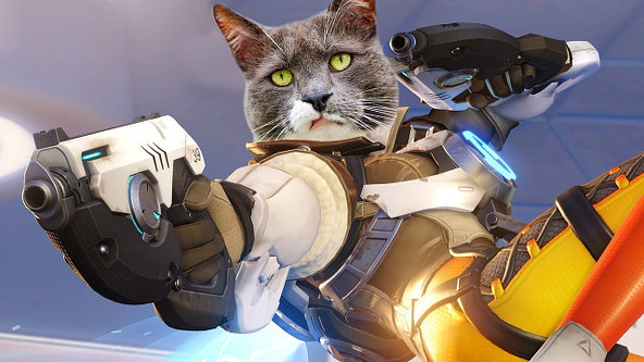 SCat-01.jpeg