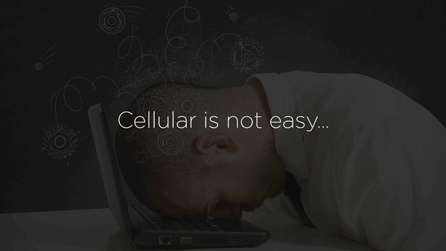 cellular.jpg