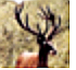 ELEN-M2.png