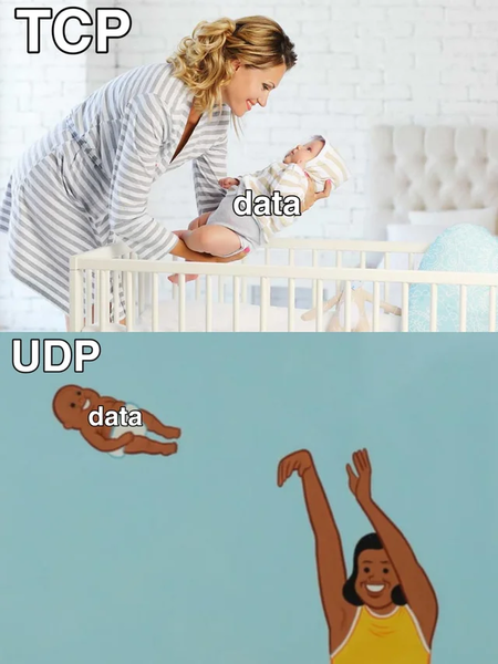 tcp_vs_udp_data.png