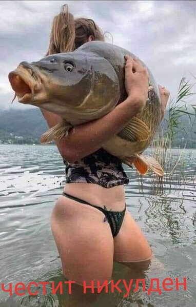 Ribok.jpg