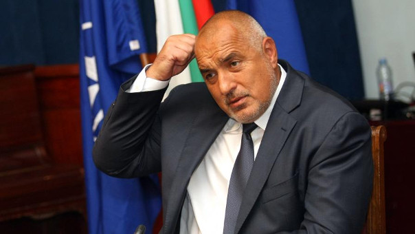 bojko-borisov-drvo.jpg