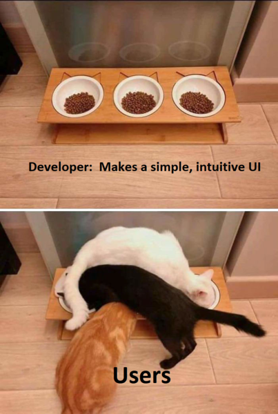 cat.png