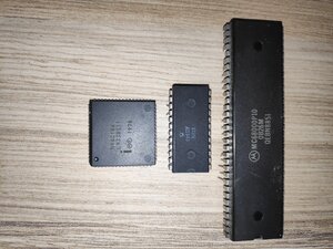 IMG_20240112_100353.jpg