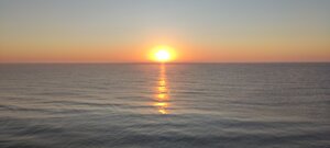 IMG_20240701_054011.jpg