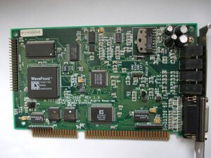 tbs2000turtle.jpg