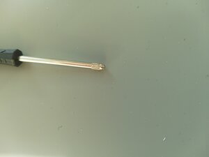 IMG_20241217_145255.jpg