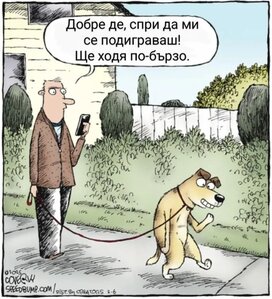 dog.jpg
