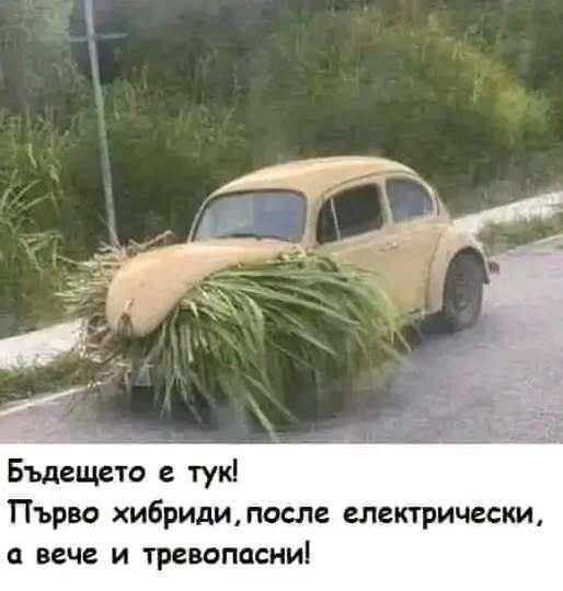 trevopasni.jpg