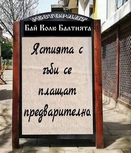445566.png