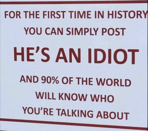 idiot_#1.png