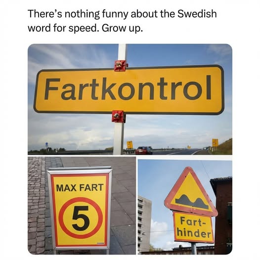 641426496_1525532798937203_8625495394549208654_n.jpg