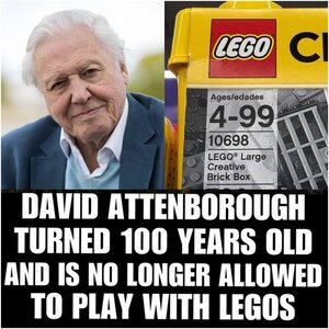 lego.jpeg