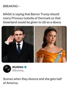 Trump and Denmark.jpg