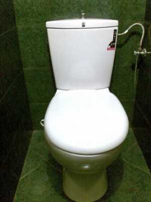 wc1.jpg