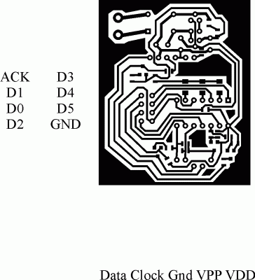 propic2.gif