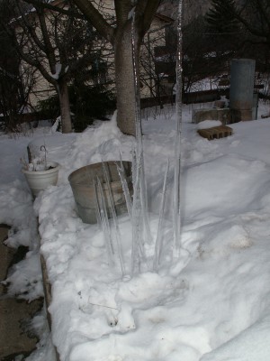 PICT6083.JPG