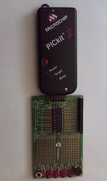 IMAG0081.jpg