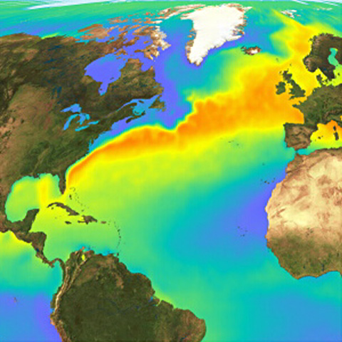 le-gulf-stream.jpg