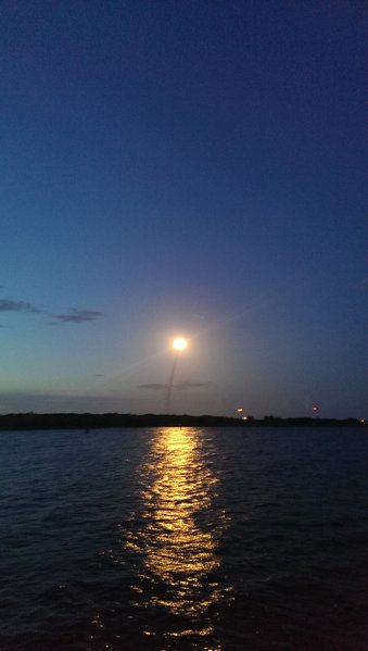 IMAG0440.jpg
