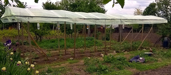 Domati-1.jpg